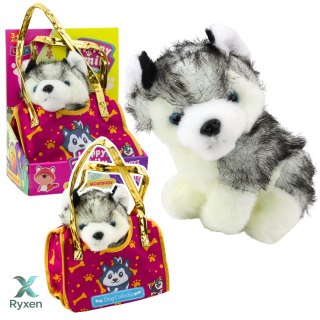 Piesek Husky W Torebce Pluszowy Maskotka Przytulanka Biało Szary