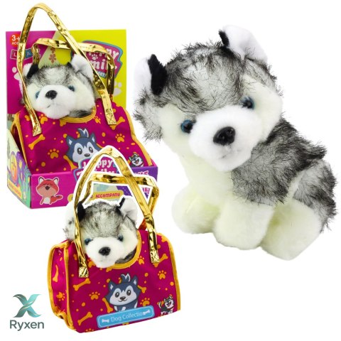 Piesek Husky W Torebce Pluszowy Maskotka Przytulanka Biało Szary