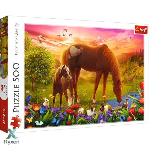 Puzzle - 500 - Konie na łące - Trefl 37451