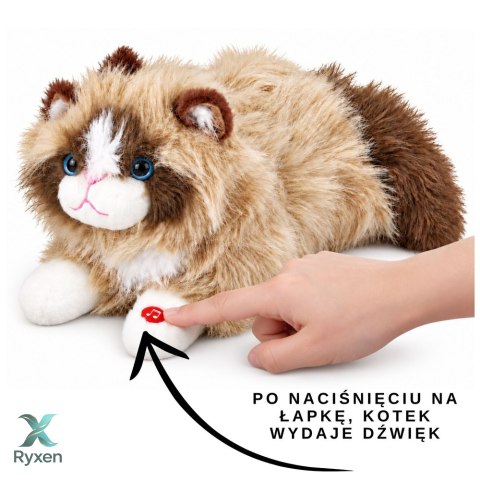 Pluszowy Kotek Maskotka Przytulanka Z Dźwiękami Miauczenia Beżowy 40 cm