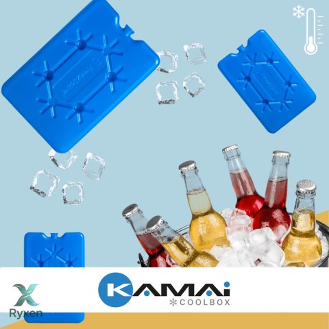 Wkład mrożący do lodówek turystycznych PŁASKI 2 x 200ml KAMAI Kamai Coolbox
