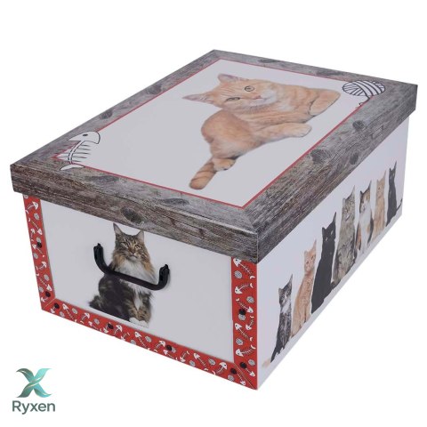 Pudełko kartonowe MAXI KOTKI RUDE CZERWONA RAMKA MissSpace