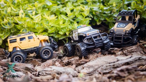 Mini samochód zdalnie sterowany SUV Rebel