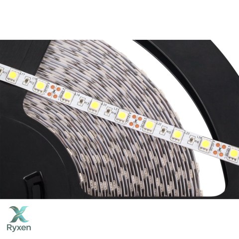 Sznur diodowy 25m Rebel (1500x5050 SMD) zimny biały, 12V Rebel