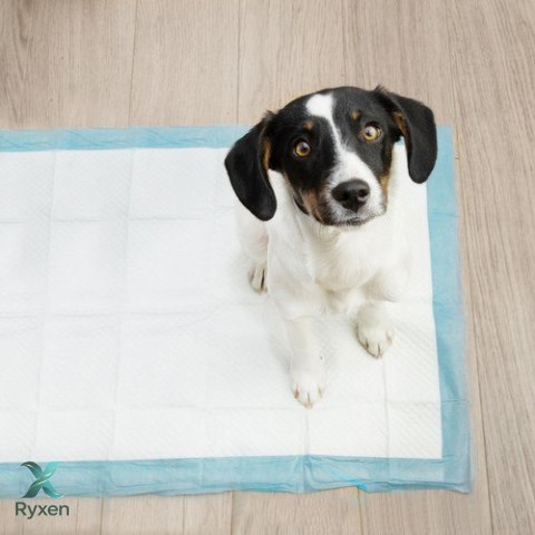 Podkład higieniczny 60x40cm 100szt. Purlov 21599 PURLOV